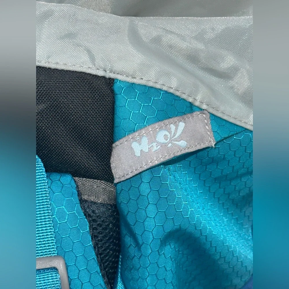 Waynorth Unbranded Teal Lightweight Hiking Backpack for Men